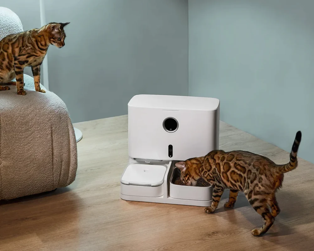 pet automatic feeder dispenser