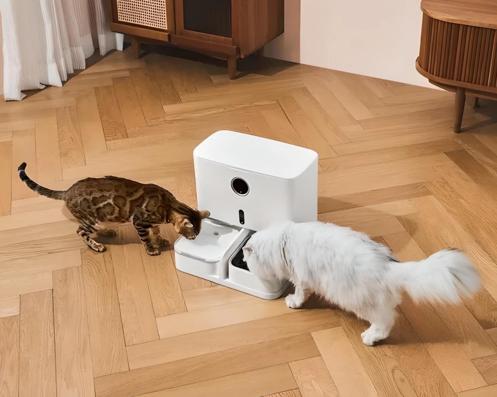best automatic pet feeder for dogs